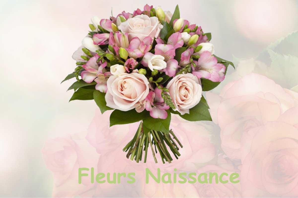 fleurs naissance NEAUFLES-SAINT-MARTIN